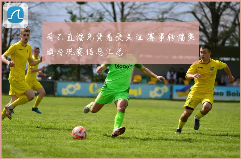 荷乙直播免费看受关注 赛事转播渠道与观赛信息汇总