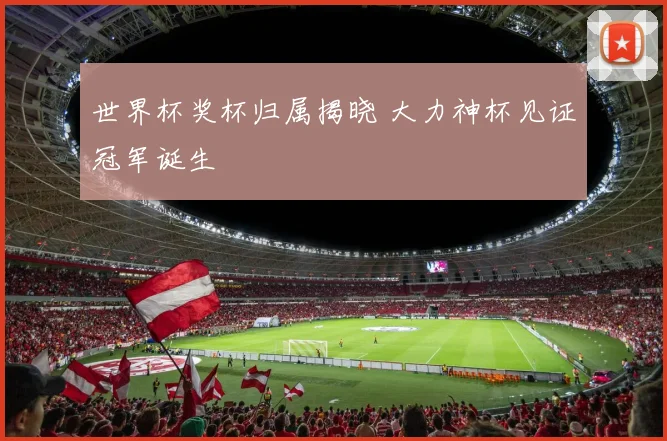 世界杯奖杯归属揭晓 大力神杯见证冠军诞生